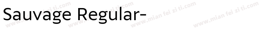Sauvage Regular字体转换